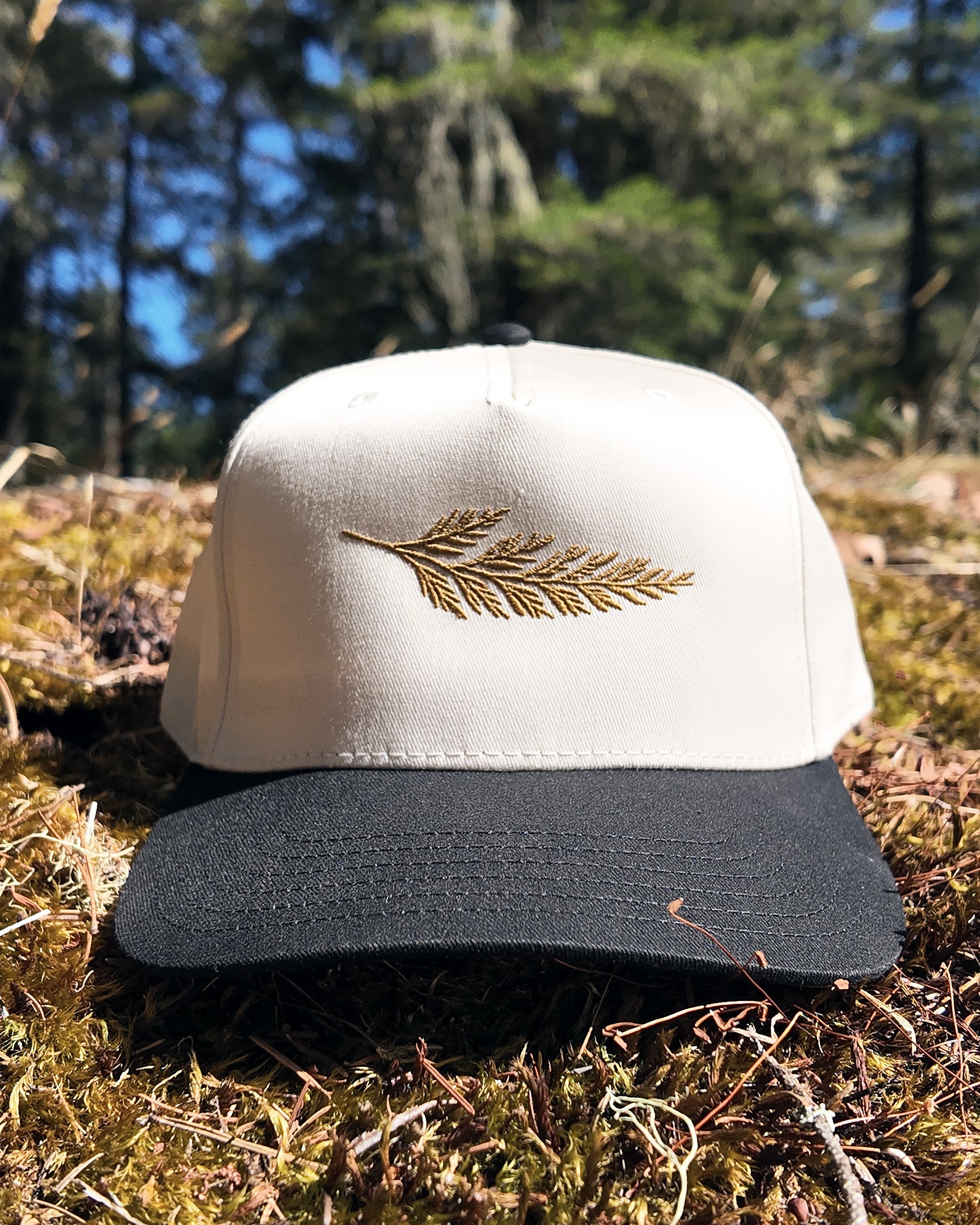 The Ranger Cap in black and natural with the embroidered cedar bough