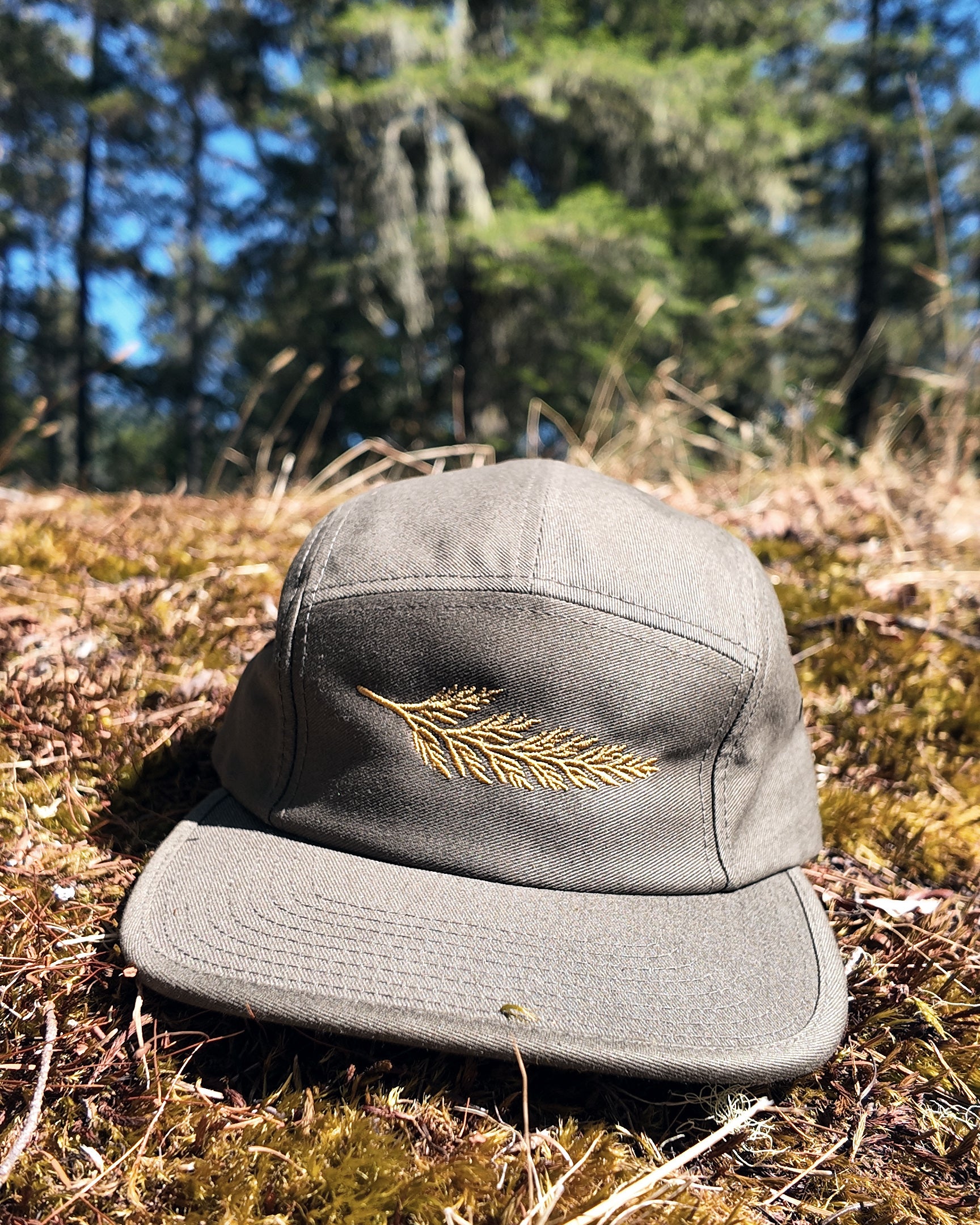 The Lookout Cap in khaki with the embroidered cedar bough, resting on the forest floor