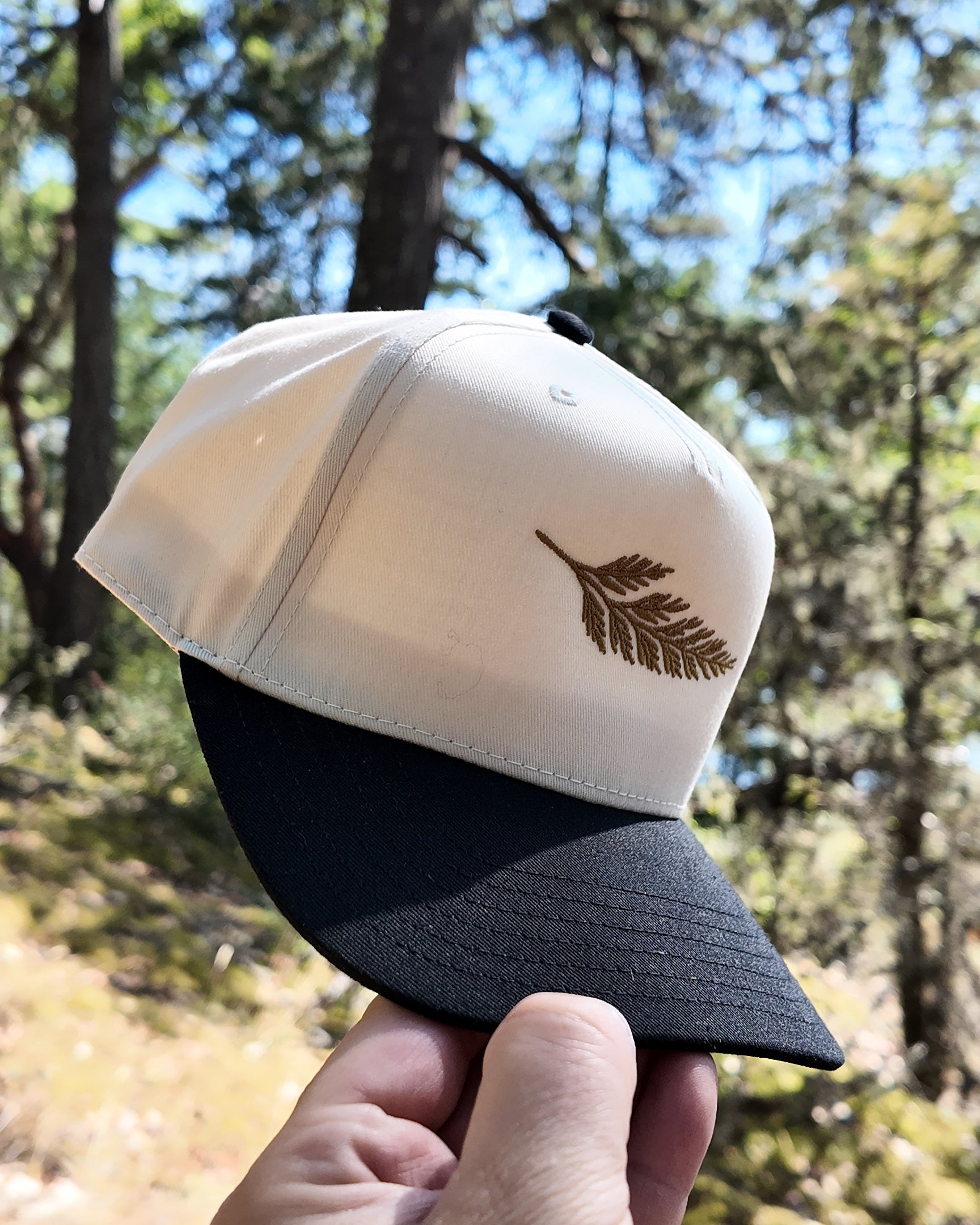 The Ranger Cap held in hand in the forest on Vancouver Island