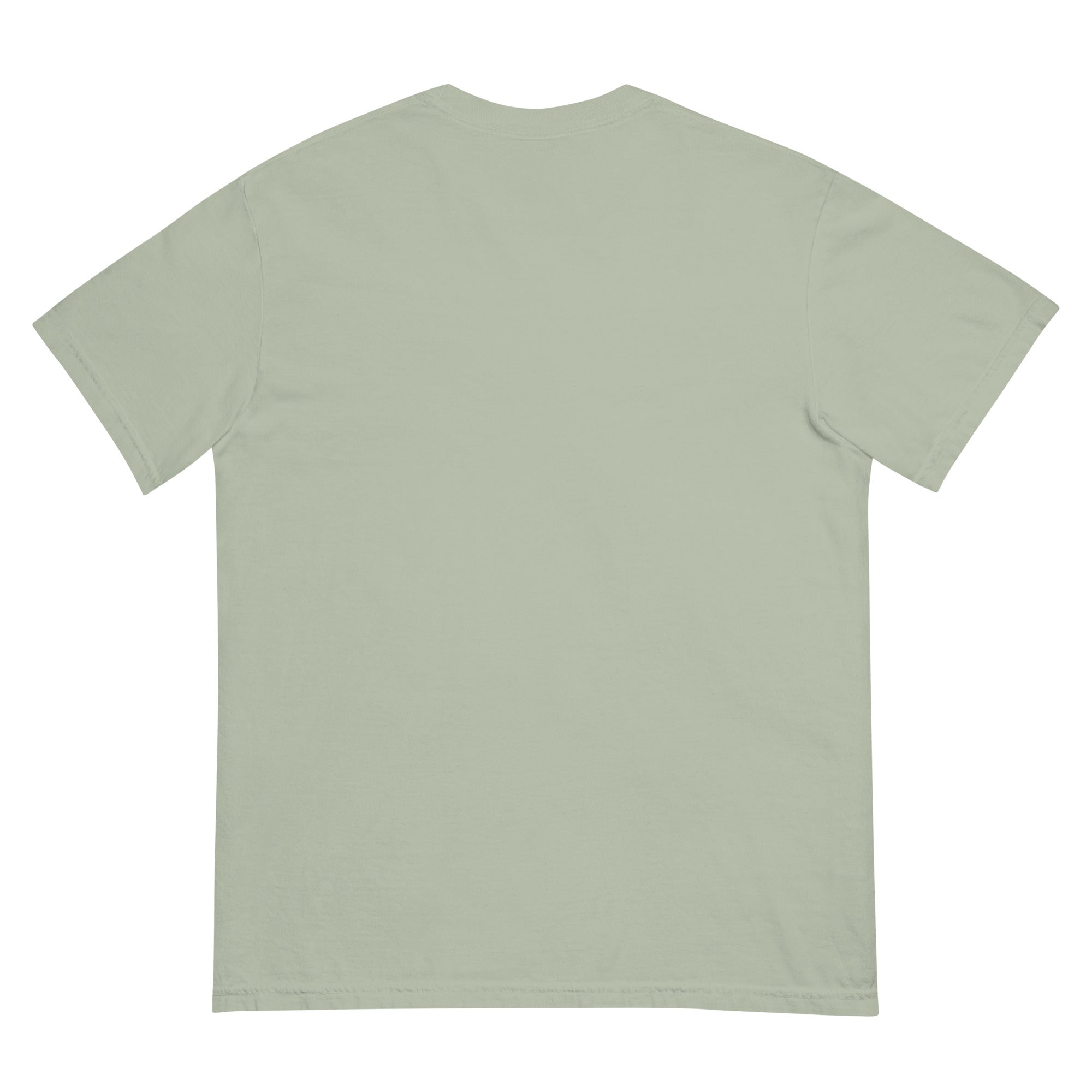 The Overcast Tee in bay, back view