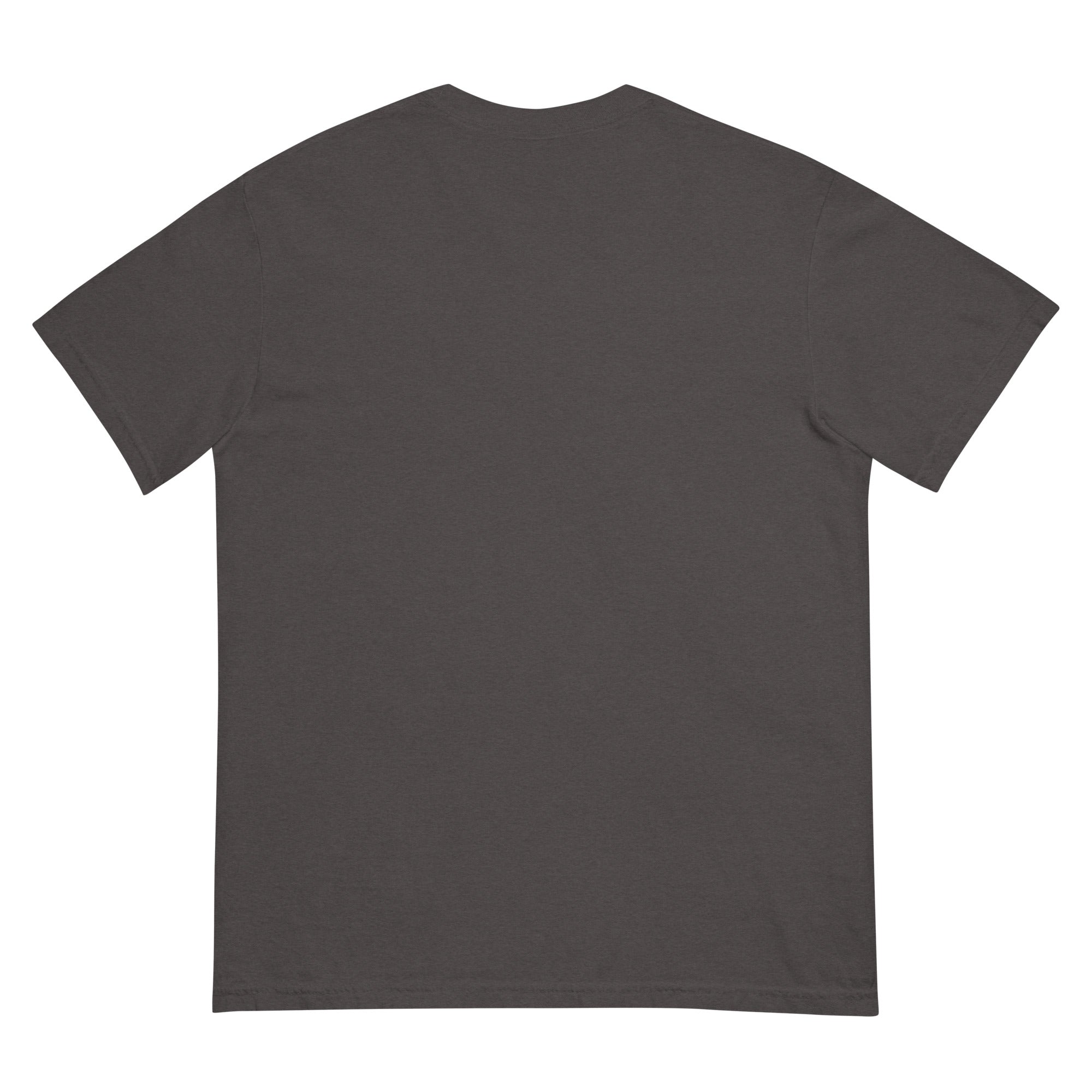 The Overcast Tee in graphite, back view